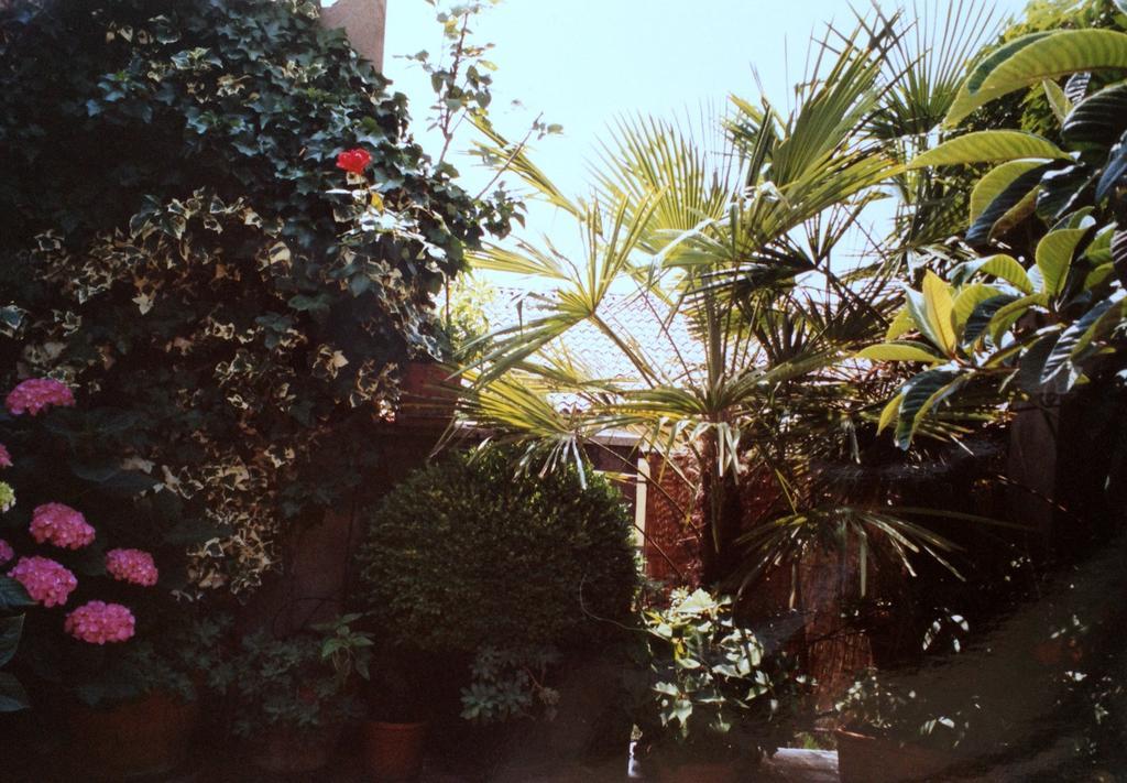 Gheller Apartment ヴェローナ 部屋 写真